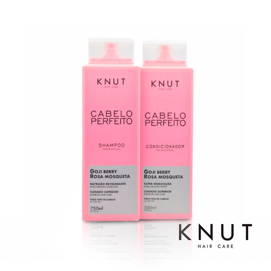 Cabelo Perfeito – Kit Shampoo 750 ml + Acondicionador 550 ml